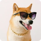 Background Remover