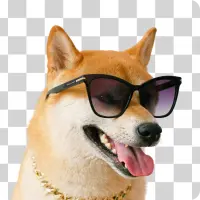 Background Remover